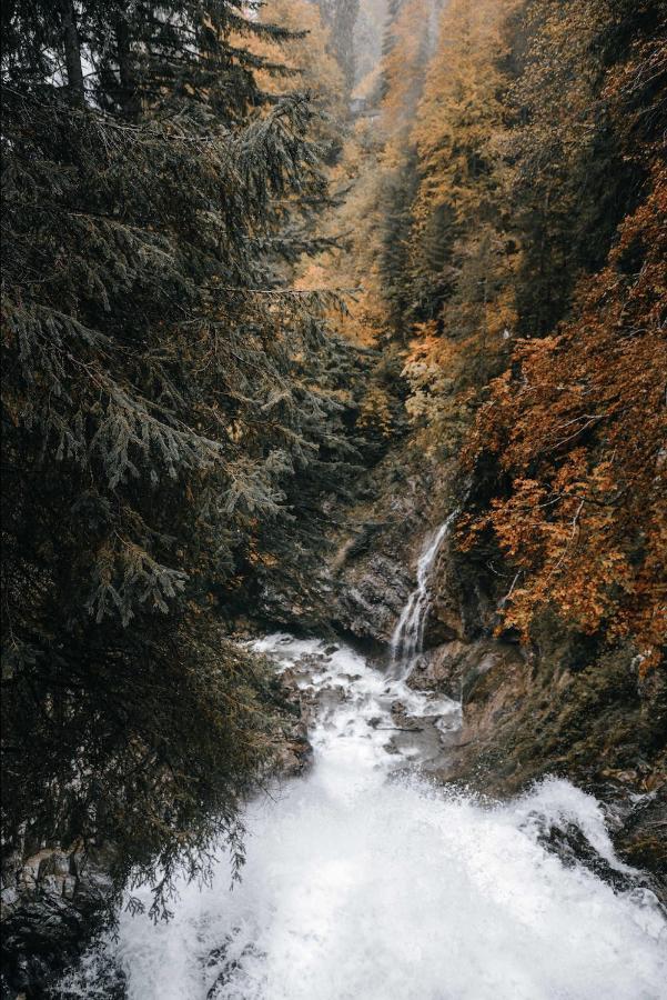 蒙特里永Non公寓 外观 照片